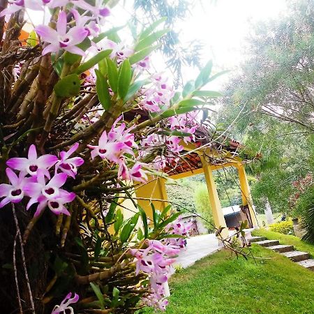Casa Com Flores Pedra Azul  Esterno foto