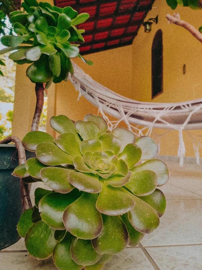 Casa Com Flores Pedra Azul  Esterno foto